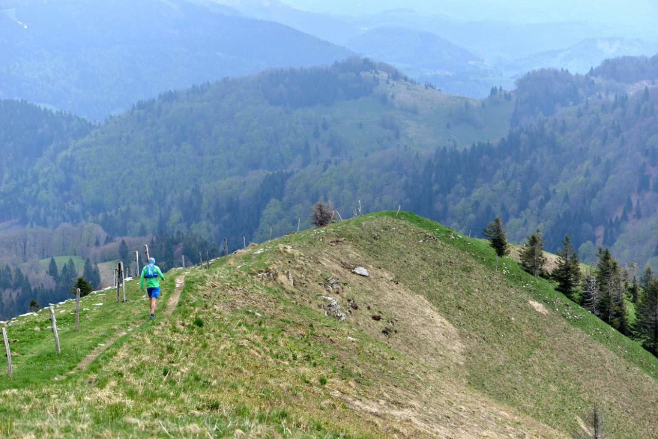 Holiday Home Davca Cerkno Eksteriør bilde
