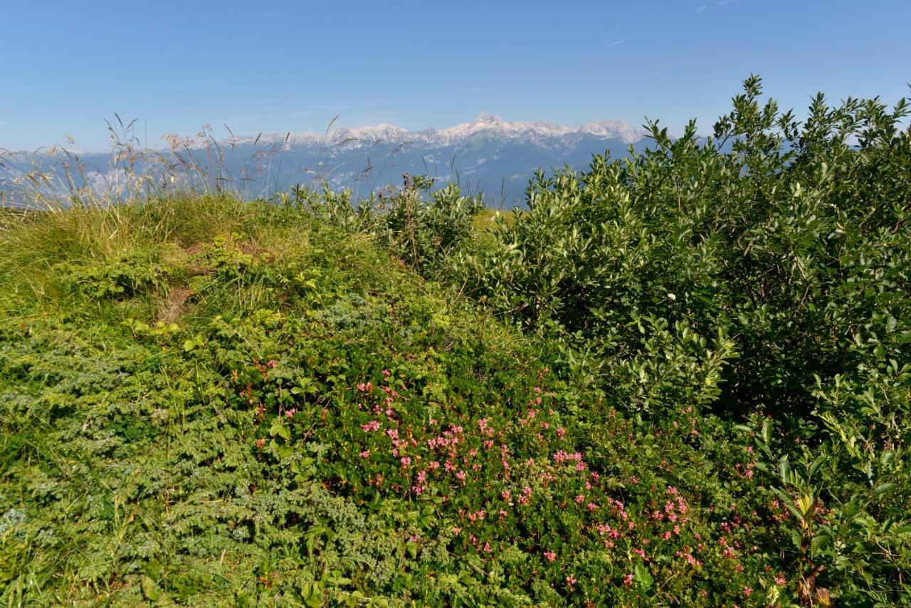 Holiday Home Davca Cerkno Eksteriør bilde