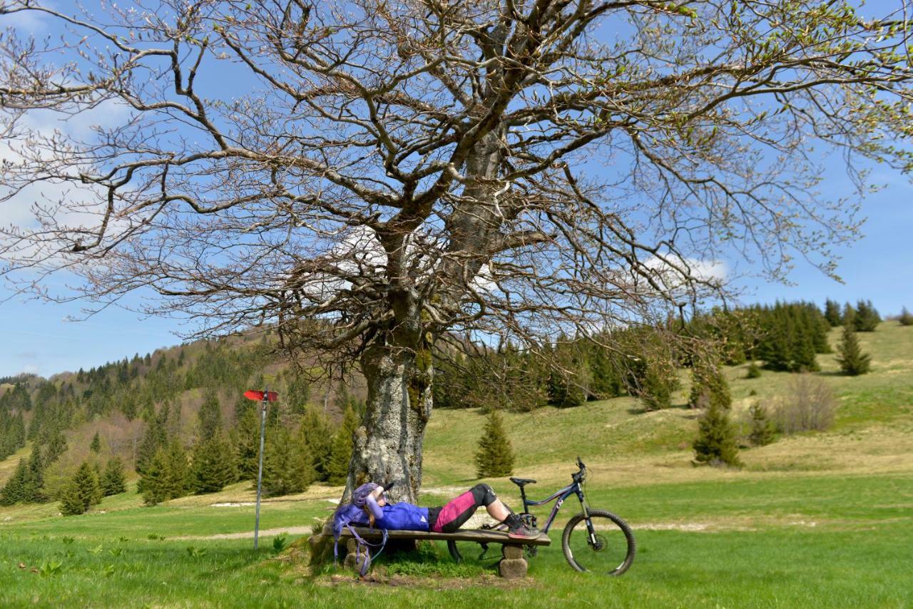 Holiday Home Davca Cerkno Eksteriør bilde